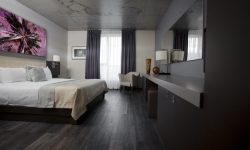 Flooring Acoustics & LVT for Noise Reduction